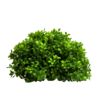 AI generated Green bush clip art png