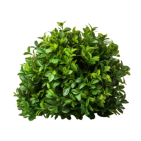 ai généré vert buisson agrafe art png