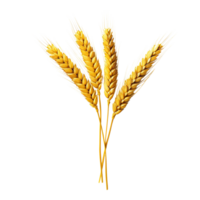 AI generated Golden wheat stalk clip art png