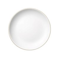 ai généré vide céramique rond assiette agrafe art png