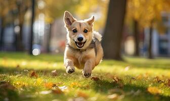 AI generated A Playful Canine Enjoying a Leisurely Sprint Amidst the Verdant Parkland photo