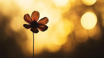 ai generado hermosa flor en el prado a puesta de sol. foto