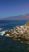 Flying low above the blue water of the Pacific Ocean. Algae floating on the water surface. Mountains of California at hazy backdrop. Vertical video