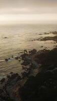 Ragged rough rocky shore covered with greenery. Beautiful Pacific Ocean in the rays of setting sun. Top view. Vertical video