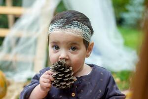 the little child playing in the park with fruits, little girl in the autumn park photo