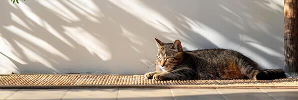 AI generated Cute relaxed cat lying on cool mat in hot day , white wall background, summer heat. ai generated photo