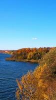 lindo outono natureza panorama. vôo acima Sombrio azul rio e regular árvores zangão cenas do outono cenário. vertical vídeo video