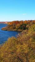 mehrere Grün Baum Spitzen unter das Vielfalt von Farben. Pfad im das Wald Das führt zu das am Wasser. Vögel Auge Sicht. Vertikale Video