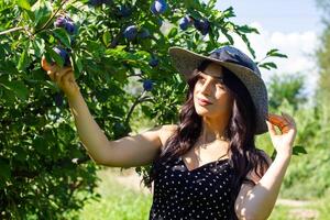 pretty young woman in the nature, summer scenery photo