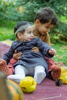 the little children are playing in the park with fruits, little girl and boy in the autumn park photo