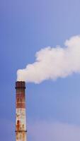 industrieel zone pijpen maken wit dik rook. pijpen van een fabriek vervuilend de omgeving. laag hoek visie. verticaal video