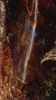 Almost dried waterfall with water spraying in the wind and creating rainbow. Cliffs of Yosemite National Park, California, USA on sunny day. Vertical video