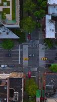 Lots of yellow taxi cabs moving among other transport by the streets of New York. Buildings tops from aerial view. Vertical video