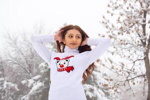 bonito joven mujer en invierno parque, rojo peludo niña en el parque en invierno foto