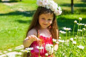 bonito pequeño niña en el naturaleza, niña en verano foto