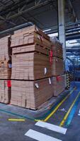 magazijn met verscheidenheid van hout. modern productie en opslagruimte kamer met timmerhout geproduceerd verticaal video