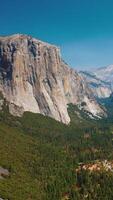 enorme ripido rocce nel Yosemite nazionale parco, California, Stati Uniti d'America. verde pino albero foreste in crescita fra il scogliere. soleggiato giorno filmato. verticale video