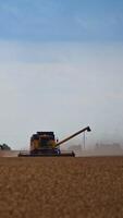 Yellow combine harvester mowing wheat field. Harvesting machinery working in the evening. Stork flying around the heavy machine. Vertical video