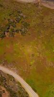 Car goes by the turning road at the shore covered with moss and lichen. Foamy waves arriving to the rocky coast. Top view. Vertical video