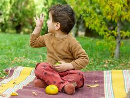 the little child playing in the park with fruits, little girl in the autumn park photo