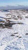 Vertikale Video von von schneebedeckt Berge