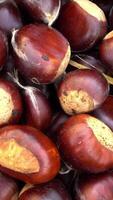 verticale video di castagne come sfondo