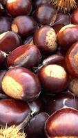 verticale video di castagne come sfondo