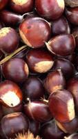 verticale video di castagne come sfondo