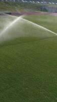 vertical vídeo do irrigação futebol campo estádio aéreo Visão video