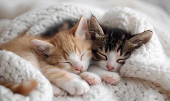 AI generated Cute little kittens sleeping together on soft plaid, closeup photo