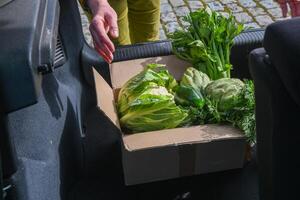 cardboard box with an assortment of fresh vegetables stands in the trunk of a car, natural products and healthy eating photo