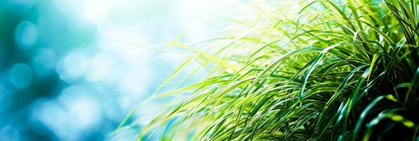 AI Generated A close-up of vibrant green grass with a soft, blurred bokeh effect. Great for environmental or green-living themes photo