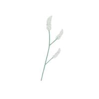 White herb picture vector