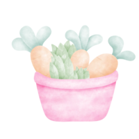 Basket filled with carrot. png