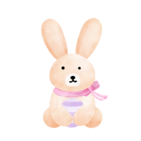 Easter bunny collection with carrot and egg. png