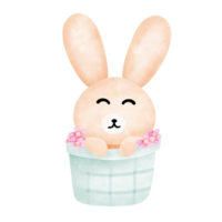 Easter bunny in basket. png