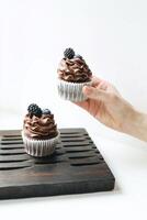 Chocolate cupcakes with whipped cream and blackberry on wooden board photo