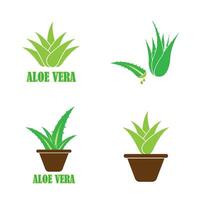 Aloe vera icon  vector design template