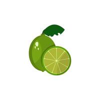 lime icon vector design templates