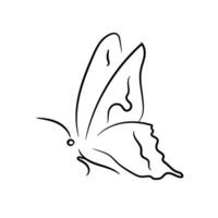 Beautiful butterfly sitting, side view, ink outline vector