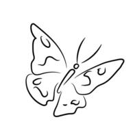 Beautiful butterfly black outline, spread wings vector