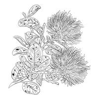 hand drawn vector botanical Ohia lehua