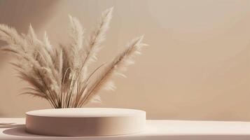 AI generated 3D rendering of a minimal podium for product display against pampas grass on a beige background photo