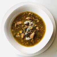 vegetable soup with meat and vegetables in a white bowl on a white background photo