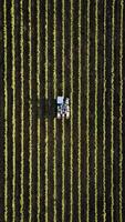 Aerial view of tractor working on soybean field in spring. photo