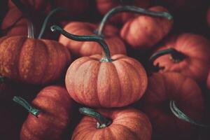 Autumn pumpkins in the market. Vintage style toned picture photo