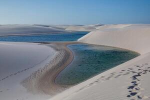 blanco playa nacional Monumento es un campo de blanco arena dunas compuesto de yeso cristales foto