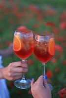 Two glasses of red wine with ice and orange on the poppy field photo