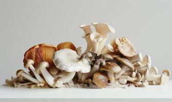 AI generated Mushroom assortment on a white background. Shallow depth of field. photo