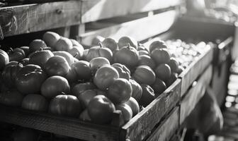 AI generated Tomatoes in a wooden box on the market. Black and white. photo